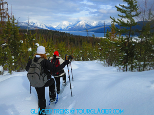 guided tour glacier national park